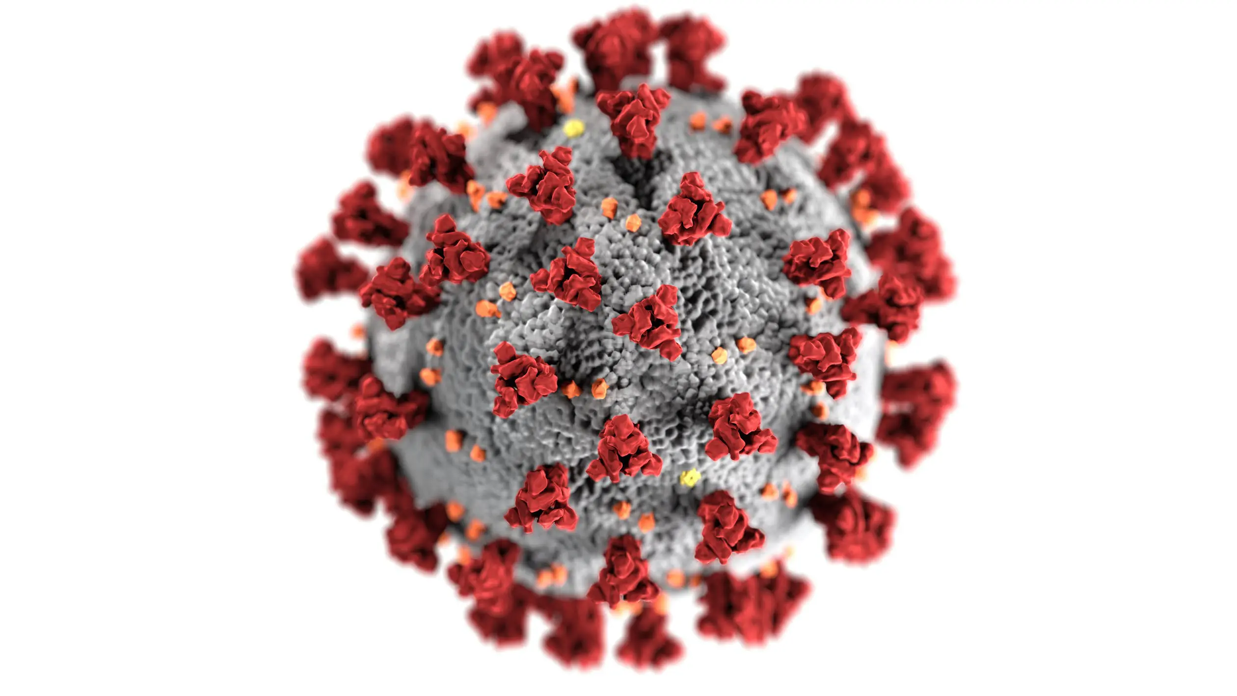 A model of a microbe