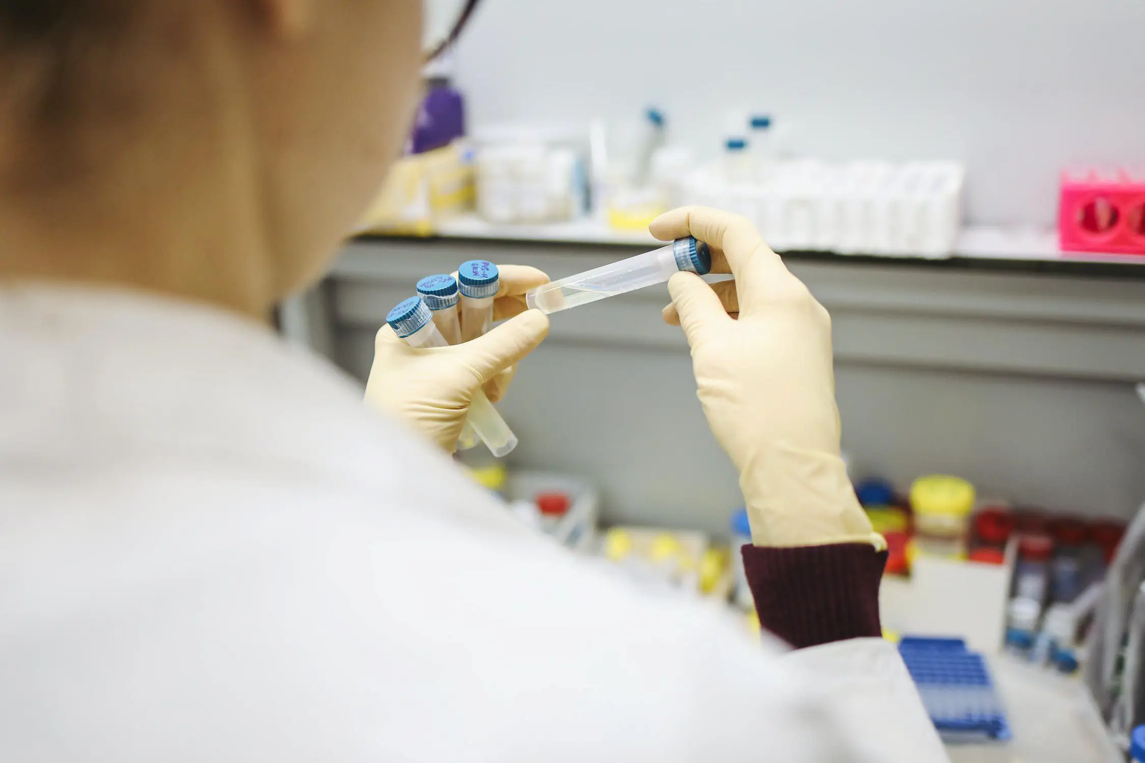 An individual in a lab looking at liquid in a tube