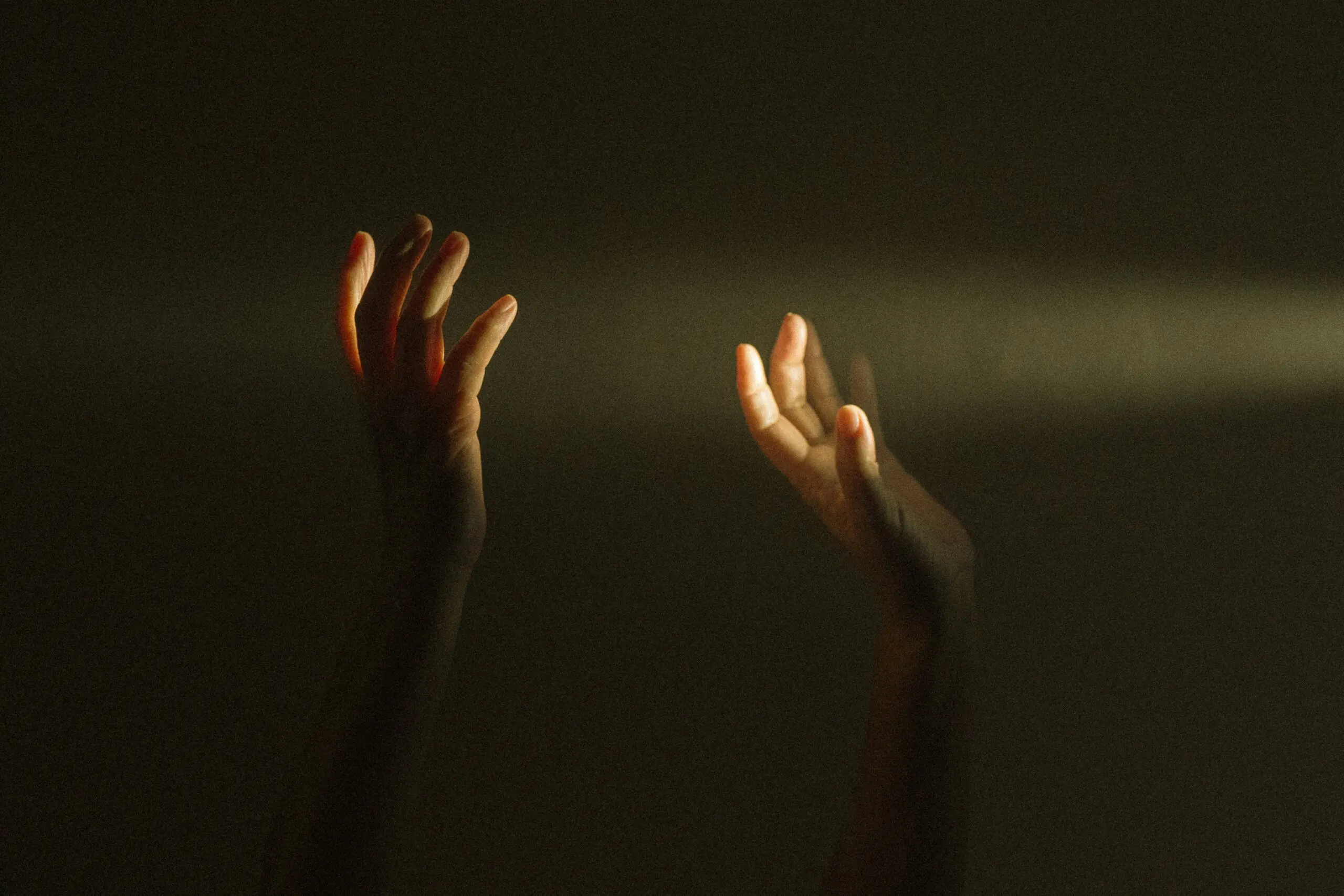 Two hands, reaching up into light