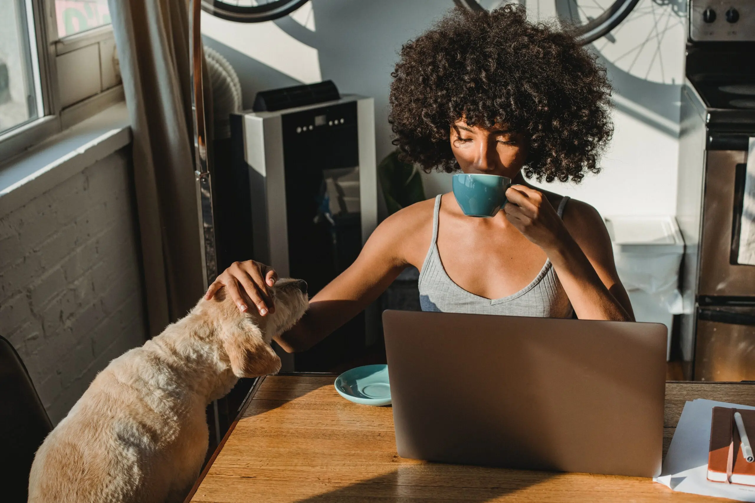 Someone drinking from a cup of tea while looking at a laptop and petting a dog