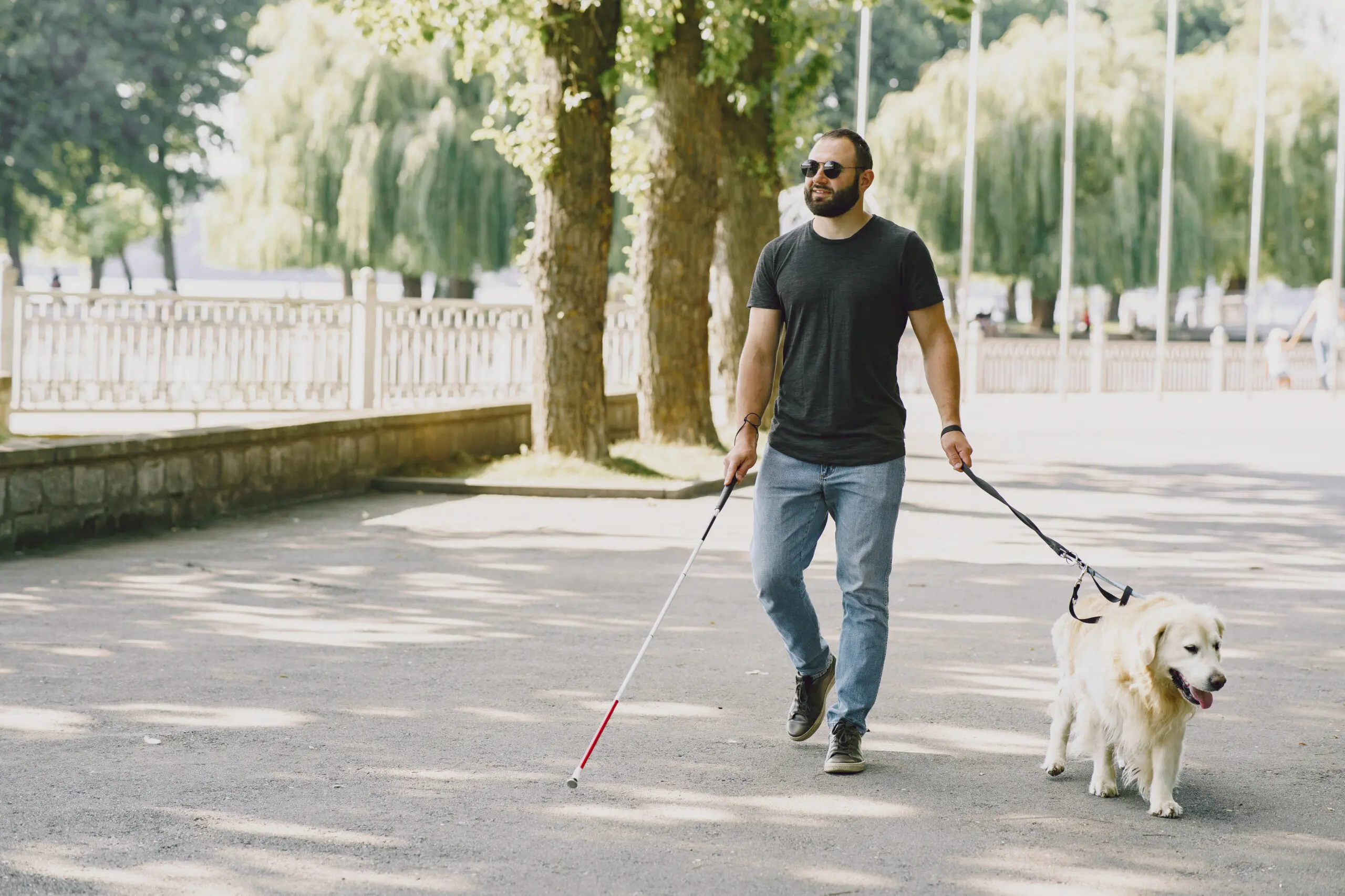 Blind man with guide dog in a summer city
