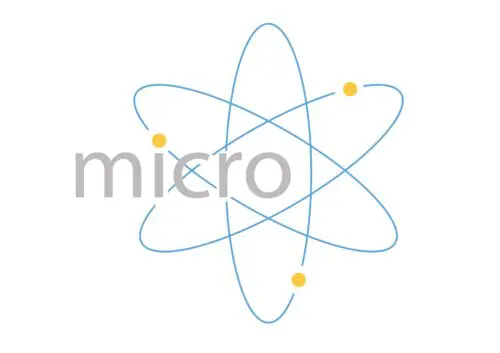Micro