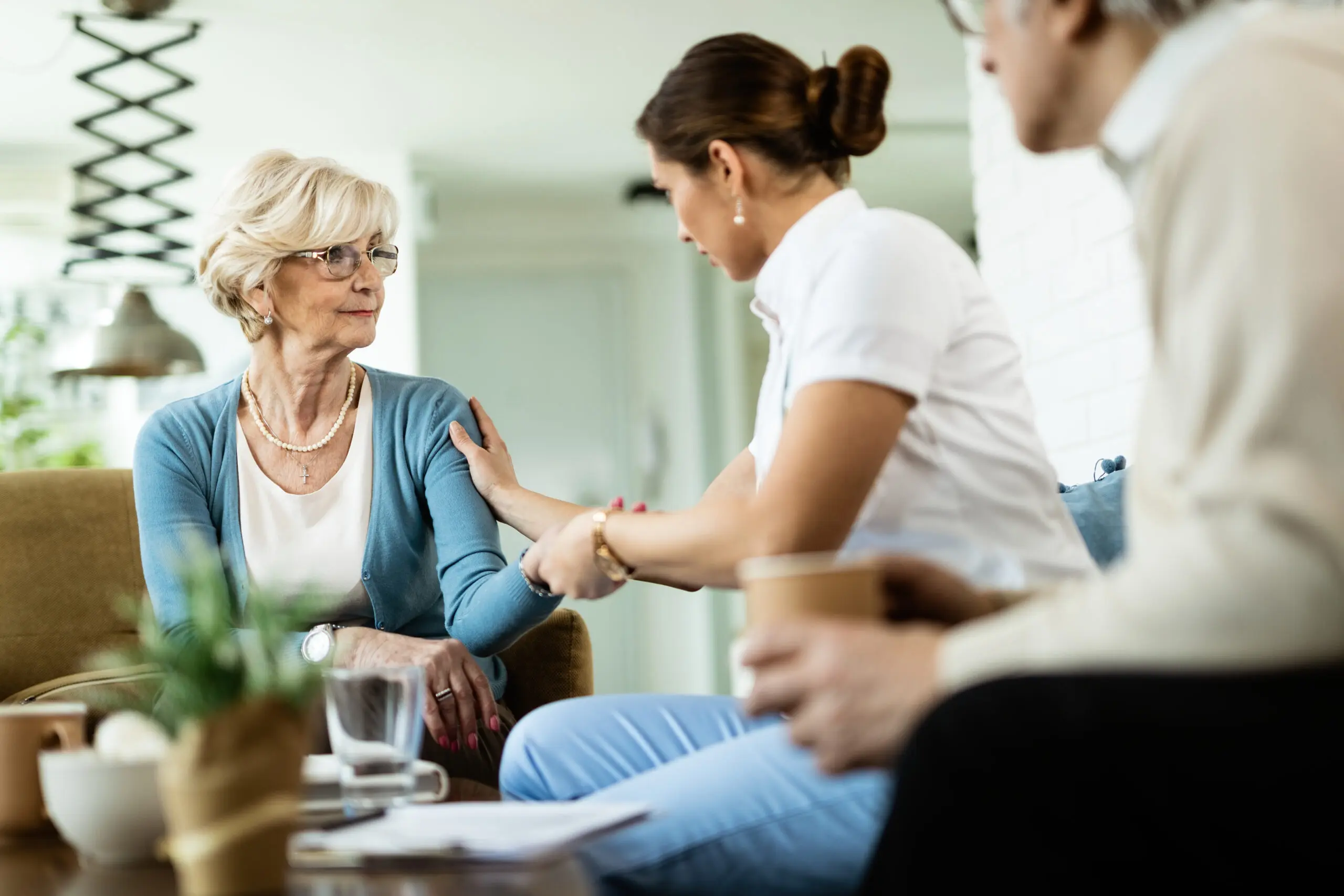 female nurse communicating with elderly individual in her own home