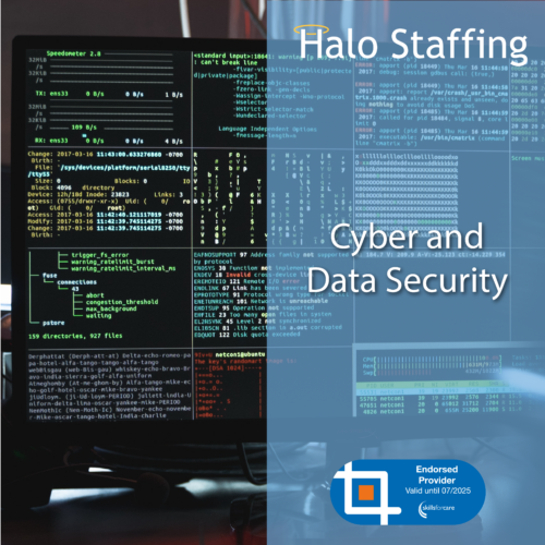 A screen full of code. Overlaid are the words 'Halo Staffing, Cyber and Data Security' and underneath is a Skills For Care Endorsed Provider logo