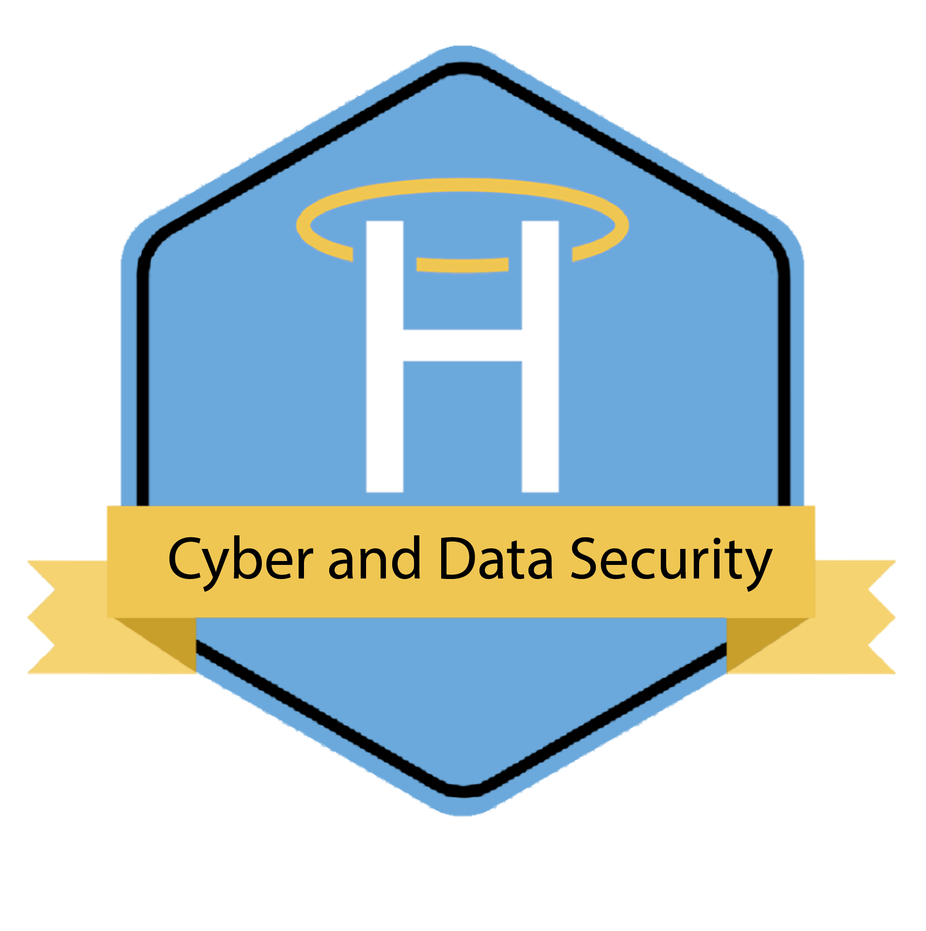 Cyber and Data Security Digital Badge